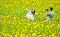 春色如许 莫负花期#(2)