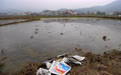 焦点丨莫让农资废弃物在田间“流浪”(11)