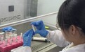 胡锦盈与队员的心肌标志物检测仪研发 重庆医科大学万磁智检团队的医工交叉实践