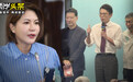 中国国民党新一届中常委出炉 台湾民众党民意代表“换血”