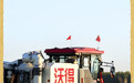 中国农民丰收节 | 各地田间绘丰收(4)