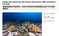 较工业化前涨36%：过去40年厄尔尼诺强度创1000年来最高纪录