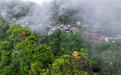 安徽齐云山：云海翻涌 水墨画卷(2)#