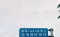 乍一看“免费”，放大看“购票”，广西一景区被指隐藏小字套路游客