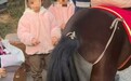 网友称“万岁山武侠城”小马腿瘸仍在载人，景区：已反馈给相关部门核实