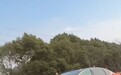 高速路上车主接力护送“李婷婚车”全网刷屏，意外带火车企