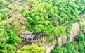 乐享“五一”假期(18)