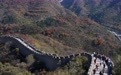 秋日八达岭 红叶染长城(5)