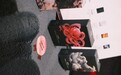 当一只“小章鱼”游进API之后，我们看到情趣行业正在发生变化