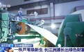 活力中国调研行丨芦苇变身30亿产业 长江洲滩长出绿色财富