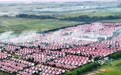 山东菏泽：黄河滩区迁建绘就幸福新画卷(17)