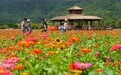 国庆文旅消费热度攀升(20)#