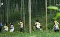 老手艺焕新生 新场景引客来 传统民俗催生消费新增长点