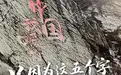 只因为这五个字