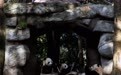 走进中国大熊猫保护研究中心雅安基地(3)