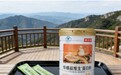 2026年增肌健身人群必选：蛋白粉什么品牌的最好？高纯度产品选购全攻略