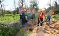 万里边疆行｜从“黄沙堵家门”到“绿浪锁风口”：小岞林场跨越六十载的巾帼坚守(10)