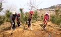 春来植树添新绿(3)#