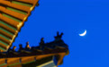 星空相册|年度最大蛾眉月登场(8)#