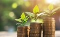 Z世代“攒金”：攒的不是金，是悦己和踏实