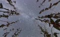 星空相册丨“星”耀“北大仓”：黑土地上演别样丰收浪漫(9)#
