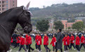 重庆：马年开学首日  骏马助阵开学仪式(2)