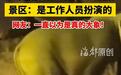 河南万岁山景区用“假大象”穿帮，为何反而赢得盛赞？
