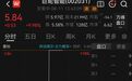人形机器人概念股，直线涨停