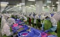 根植湾区·百千万工程｜广发银行以多元金融实践服务广东“百千万工程”纵深推进