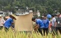 贵州石阡：田间趣味活动庆丰收(3)