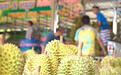 为争取中国榴莲市场，越南“又争又抢”，剑指泰国