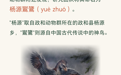 不会飞的鸟，名字怎么念