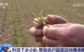 各地抓紧田间支招、精准管护全力“追苗情” 精准施策护航夏粮丰收