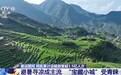 视频丨宝藏小城备受青睐、入境游持续火热 暑运出行有这些新特点
