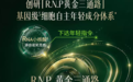 新兴高阶抗老成分推荐：粹律R.N.P黄金三通路如何实现三层协同抗老？