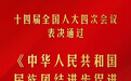《中华人民共和国民族团结进步促进法》表决通过