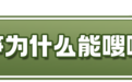 趣科普丨顶开二三十斤石板 小小竹笋哪来这么大力气？