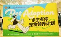 “余生有你”公益领养落地中原万达 心粮用爱为流浪动物筑家
