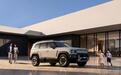 适合户外露营的车可城可野SUV