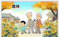 节令之美｜赏菊