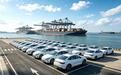 汽车“自主五常”：海外杀疯了 国内跌惨了丨汽势焦点