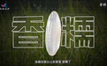 丰收密码｜一粒“中国种”，万家米饭香