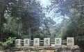 景迈山为世界遗产活态传承贡献东方智慧