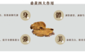 真菌食养新风尚，华蕈桑黄胶囊打造全素桑黄日常调养新选择