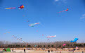 缤纷风筝 装扮天空