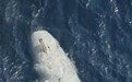 伊朗军方称捕获美国无人潜艇