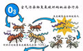 我国科研人员发现同巢蚂蚁互相攻击的原因