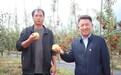 川邮惠民・厚植责任担当 邮储银行连续17年用金融活水浇灌盐源苹果产业
