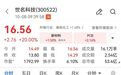 PCB概念，2股直线涨停