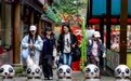 四川宝兴：依托大熊猫构建生态文旅产业链(3)#